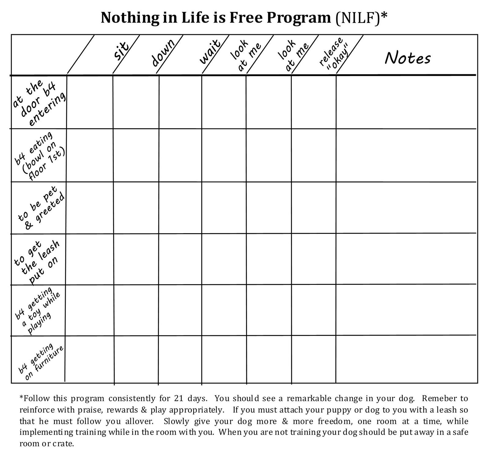 acc-202-workbook-income-statement-dog-care-for-all-ages-milestone-3