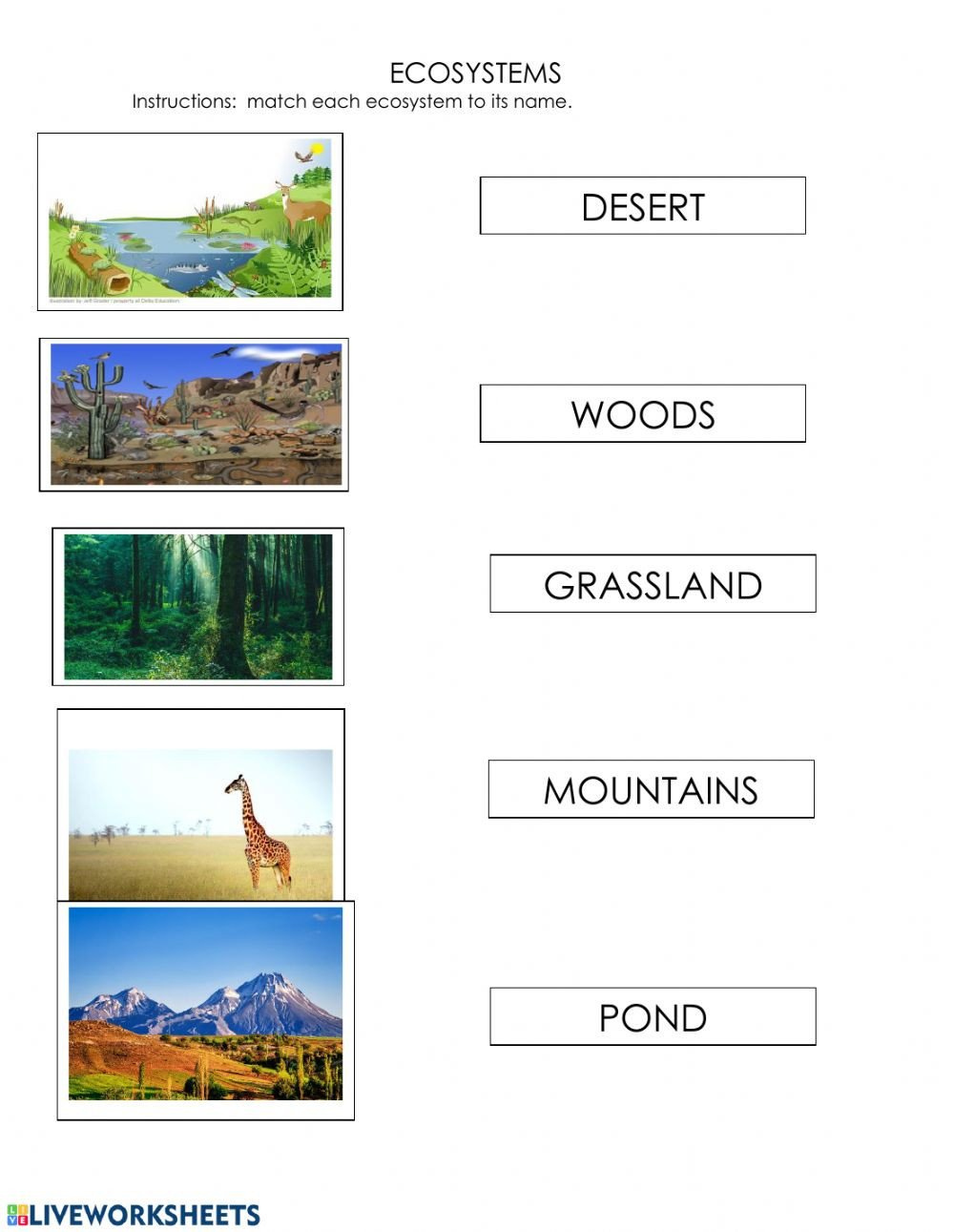 20 Ecosystem Worksheets 4th Grade Worksheet From Home