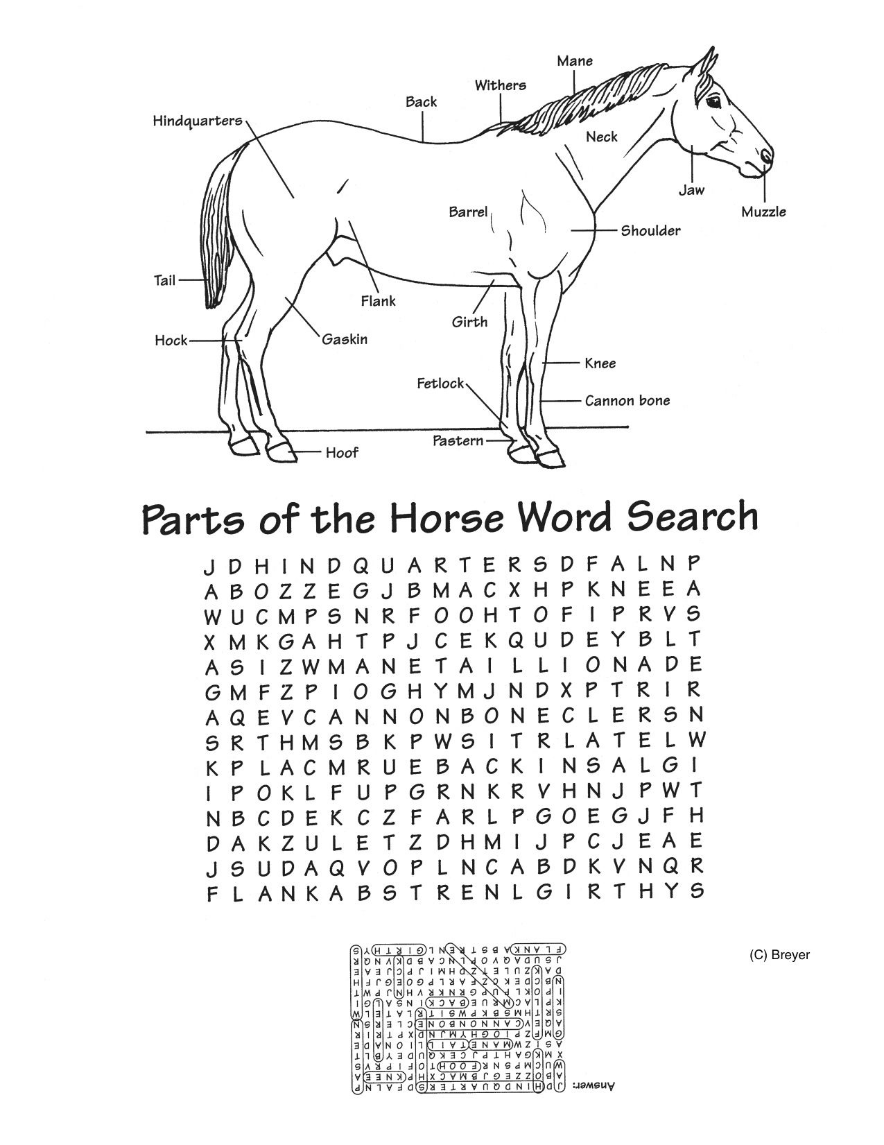 free-printable-horse-worksheets-printable-printable-worksheets