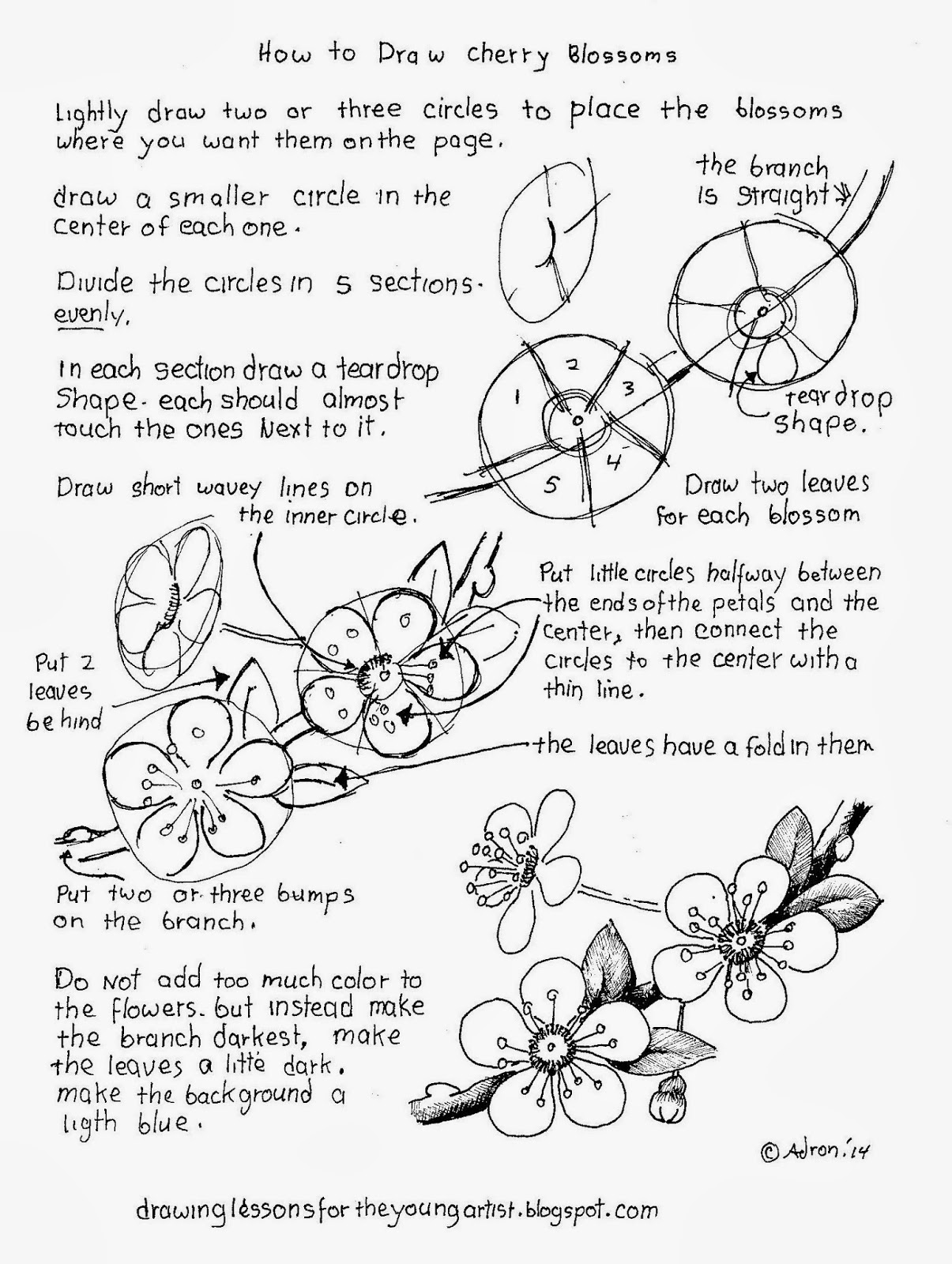 How To Draw Worksheets For The Young Artist How To Draw Cherry 