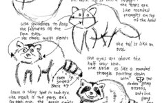 How To Draw Worksheets For The Young Artist How To Draw A Raccoon