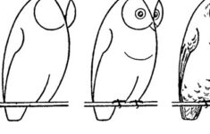 How To Draw An Owl With Printable Worksheet The Graphics Fairy