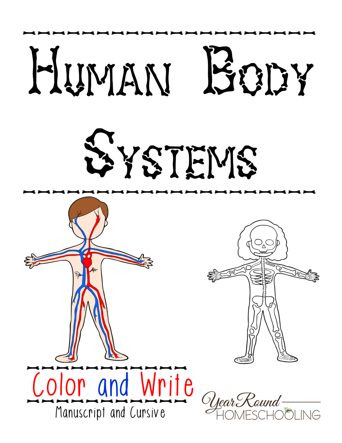 free printable human body systems worksheets pdf | Printable Worksheets