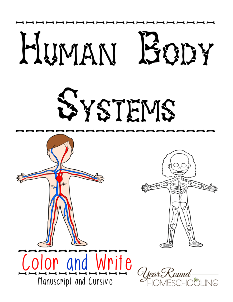 free-printable-human-body-systems-worksheets-pdf-printable-worksheets