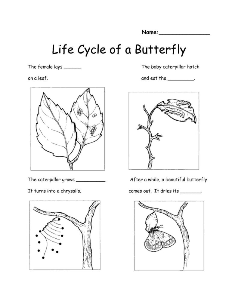 Free Printable Science Worksheets For Grade 6 Printable Worksheets