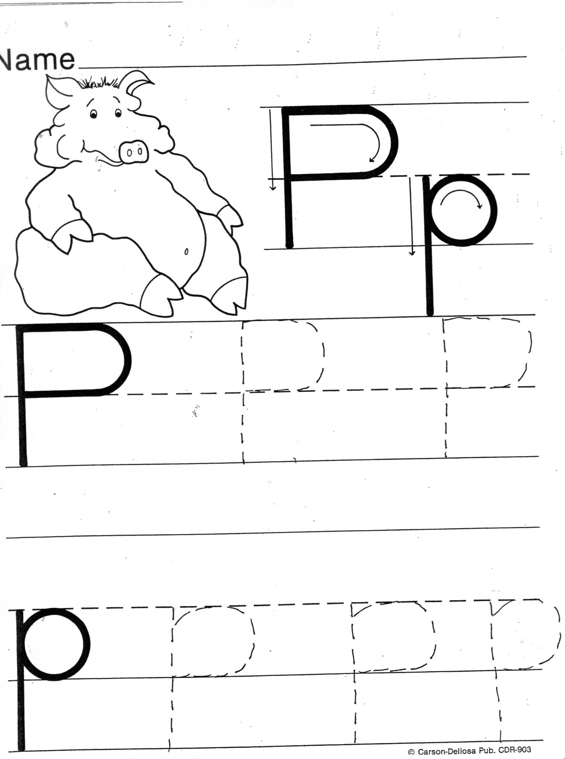 Letter P Printable Worksheets Printable Worksheets