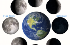 Lunar Phases Printable Google Search Moon Phases Moon Phase