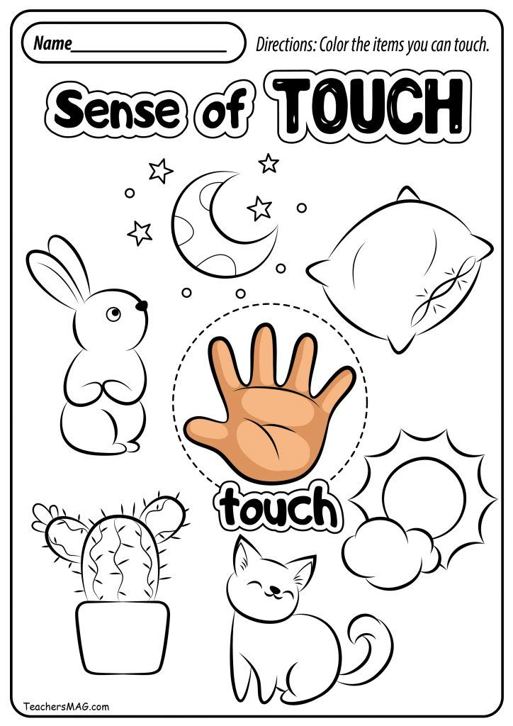 Free Five Senses Worksheets TeachersMag Five Senses Worksheet 