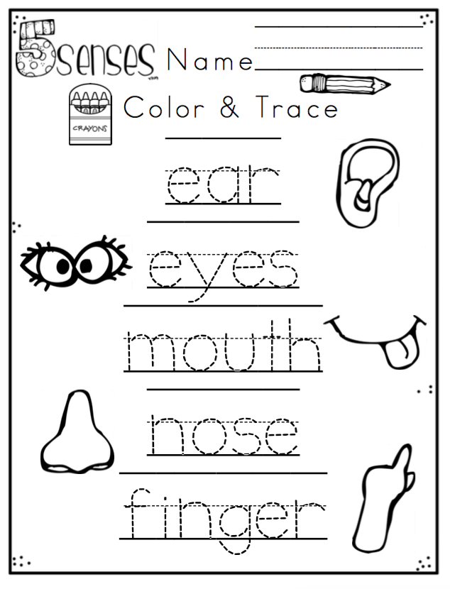 Preschool Packet 5 Senses No Prep Preschool Printables