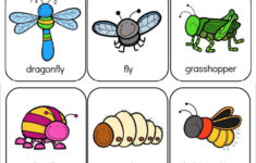 Printable Preschool Bug Activities For Kids Bugs Preschool Preschool