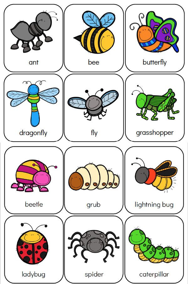 Printable Preschool Bug Activities For Kids Bugs Preschool Preschool 