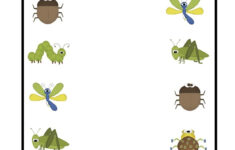 Preschool Bug And Insect Worksheets Bugs Preschool Insects Theme
