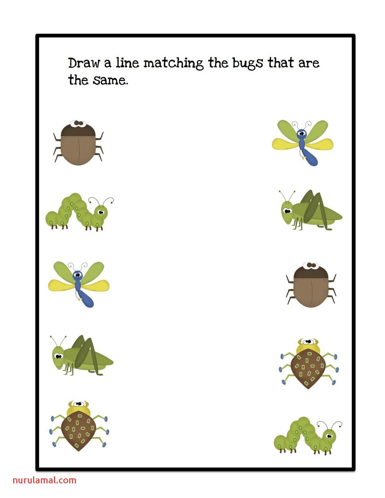 Preschool Bug And Insect Worksheets Bugs Preschool Insects Theme 