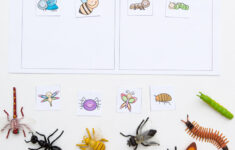 Preschool Insect Theme Sorting Worksheet Bug Activities Fun With Mama