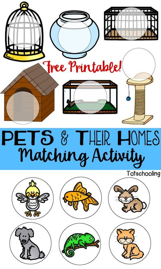 Pets Their Homes Matching Activity Preschool Pet Activities 