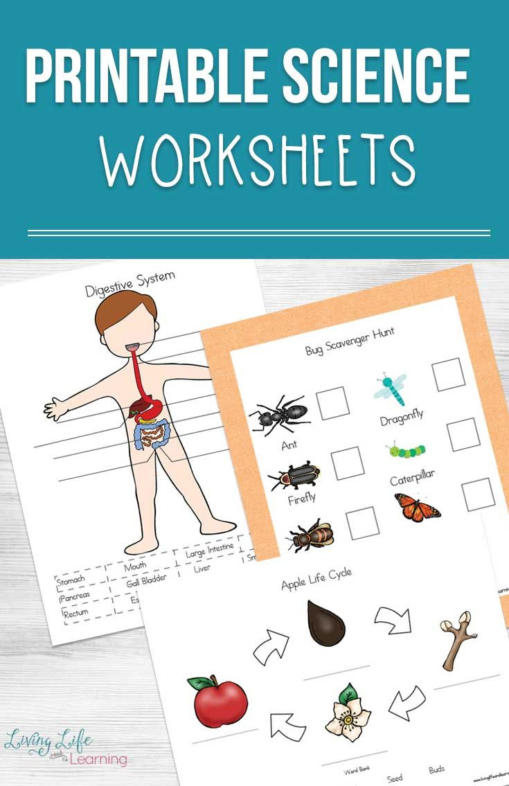 Free Printable Science Worksheets Pdf Pin On Science We Have A 