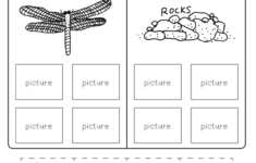 4th Grade Science Worksheets Best Coloring Pages For Kids