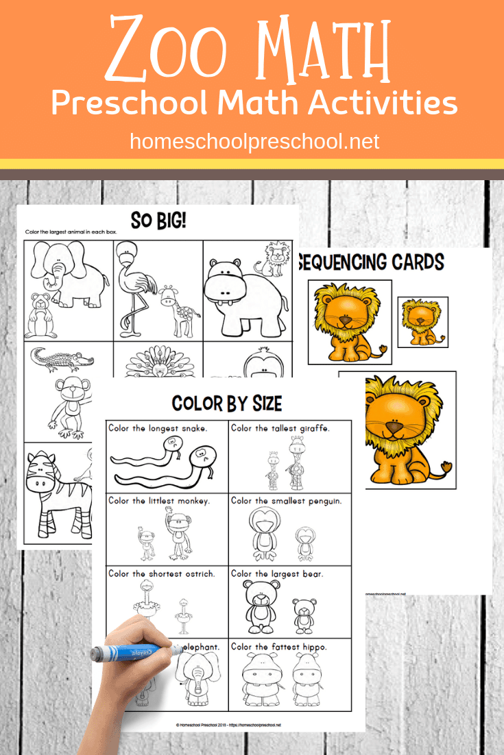 Free Printable Zoo Math Worksheets For Preschoolers Preschool Math 