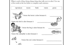 Free Printable Science Worksheets For 2Nd Grade Free Printable