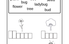 Kindergarten Spelling Worksheet Made By Teachers