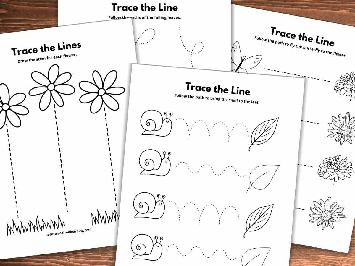17 Line Tracing Worksheets (Free) - Nature Inspired Learning with Free Printable Line Tracing Worksheets