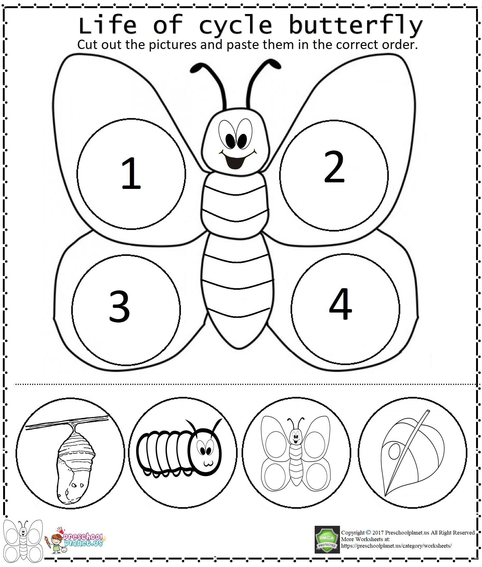 29 Butterflies Kindergarten And Butterfly Life Cycle Ideas To Save for Free Printable Life Cycle of A Butterfly Worksheets