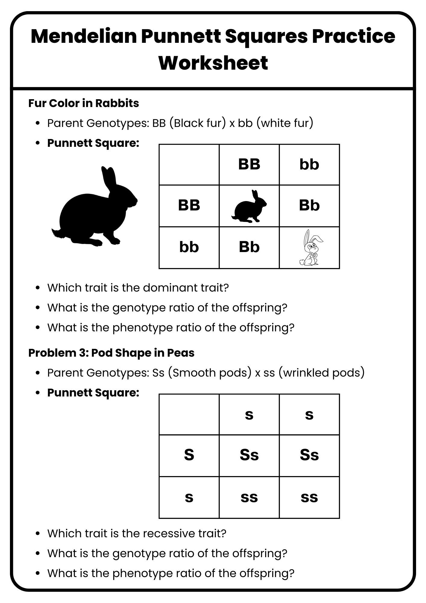 40+ Punnett Square Practice Worksheet To Download In Pdf intended for Free Printable Punnett Square Worksheets