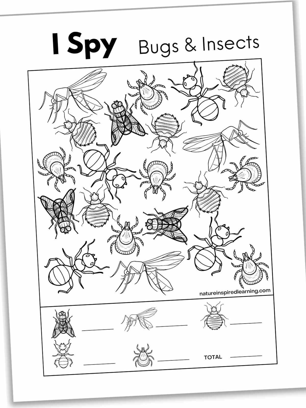 5 Bug And Insect I Spy Printables - Nature Inspired Learning within Free Printable Insect Worksheets