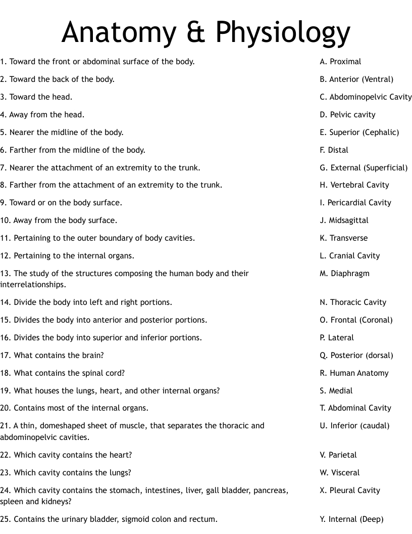 Anatomy &amp;amp; Physiology Worksheet - Wordmint with Free Printable Anatomy And Physiology Worksheets