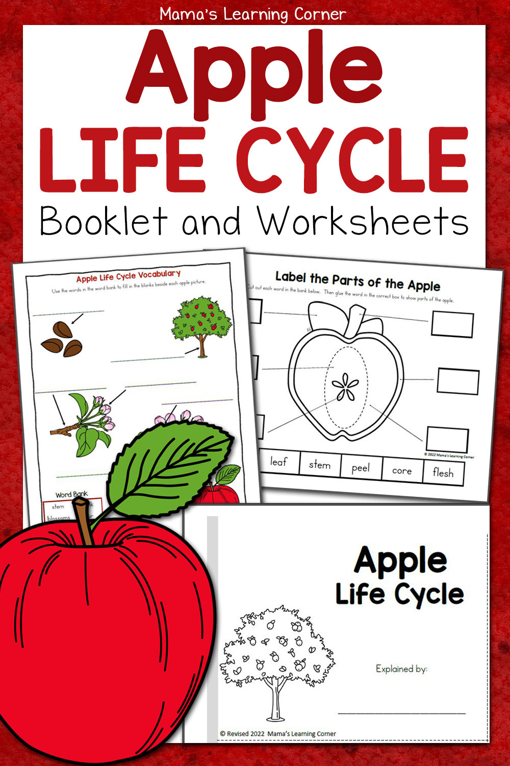 Apple Life Cycle Worksheets - Mamas Learning Corner with regard to Free Printable Apple Worksheets