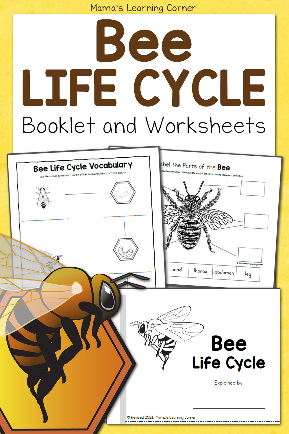 Bee Life Cycle Worksheets - Mamas Learning Corner throughout Free Printable Bee Worksheets