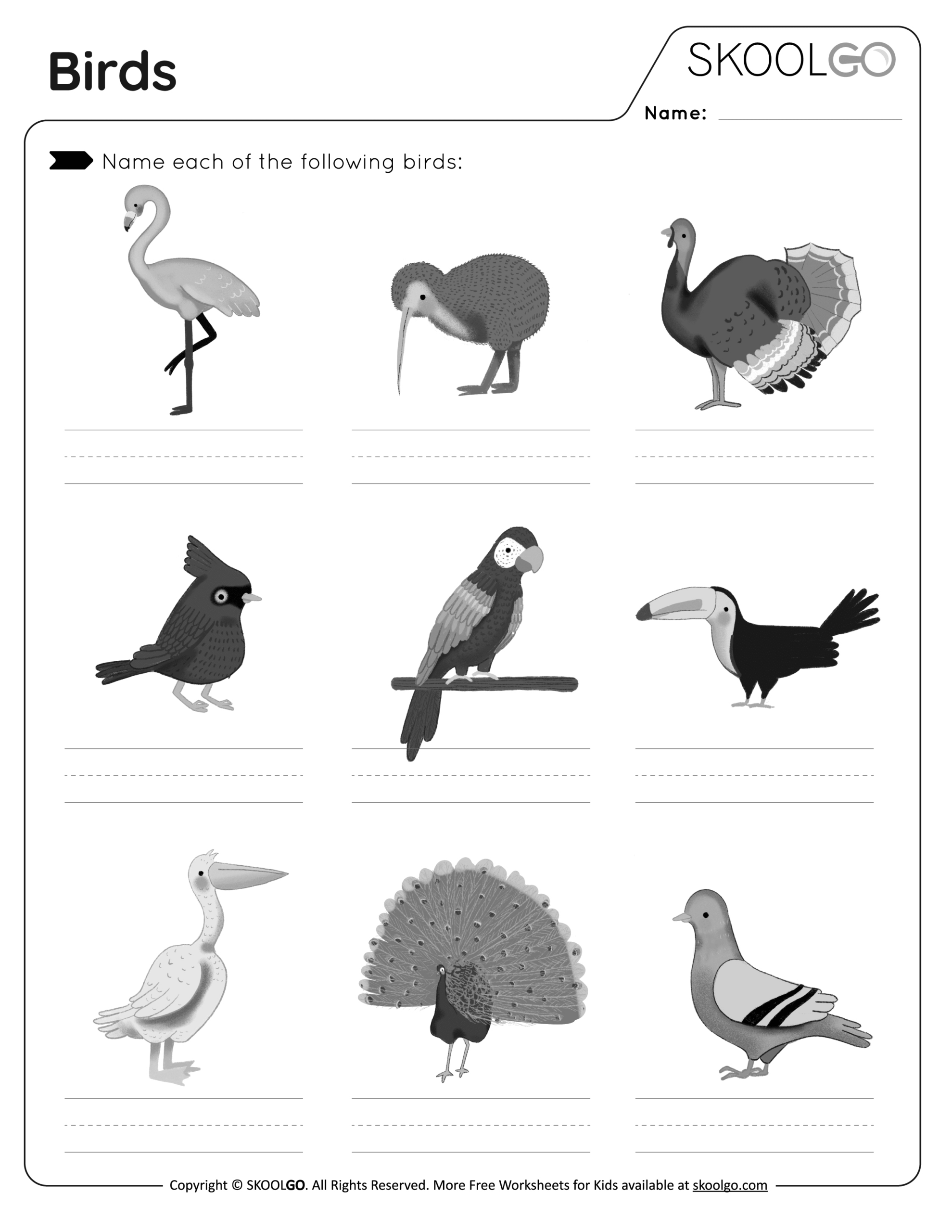 Birds - Free Worksheet - Skoolgo within Free Printable Bird Worksheets For Preschoolers
