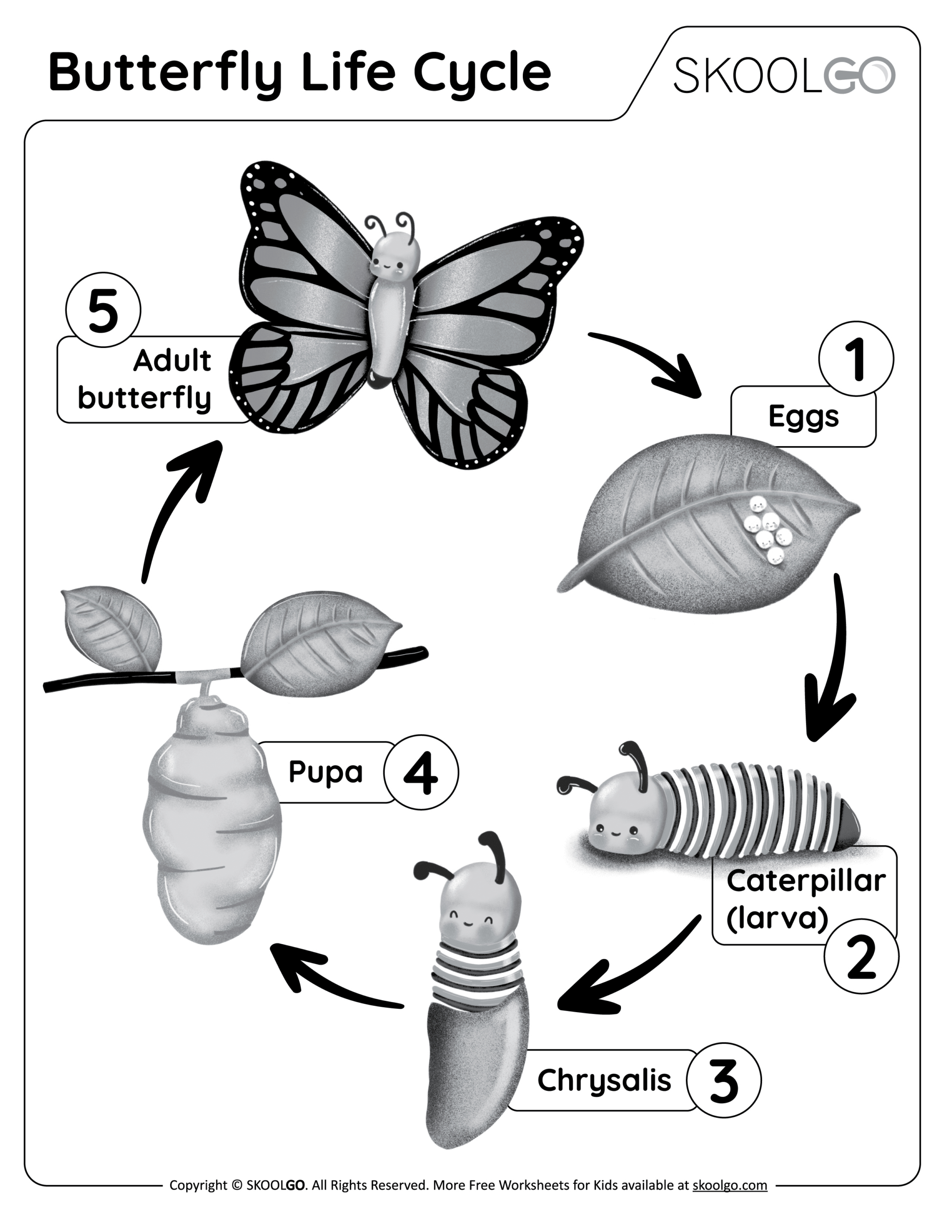Butterfly Life Cycle - Free Worksheet - Skoolgo in Free Printable Life Cycle of A Butterfly Worksheets