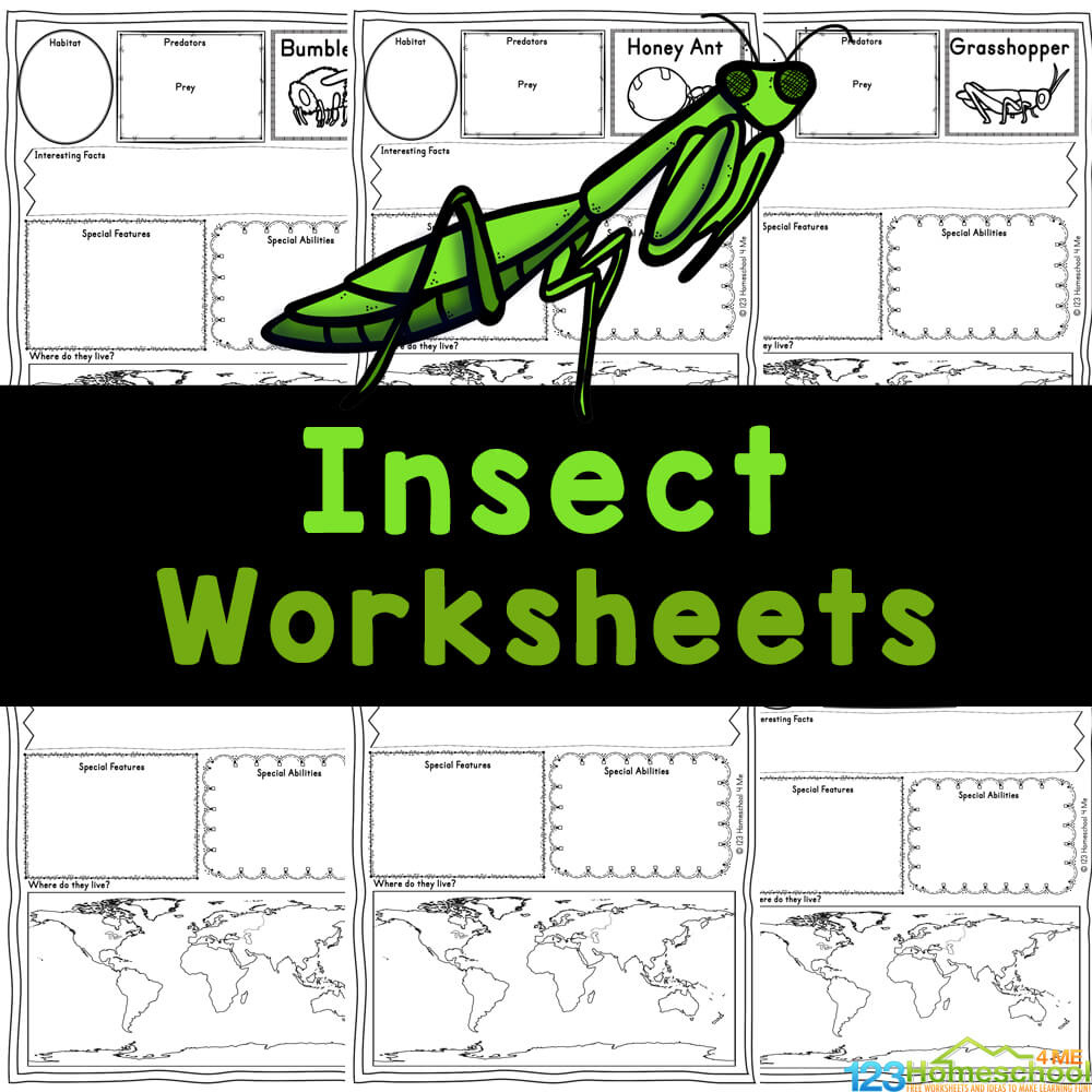 🦗🦟🦋🐞 Free Printable Insect Worksheets For Kids throughout Free Printable Worksheets on Insects