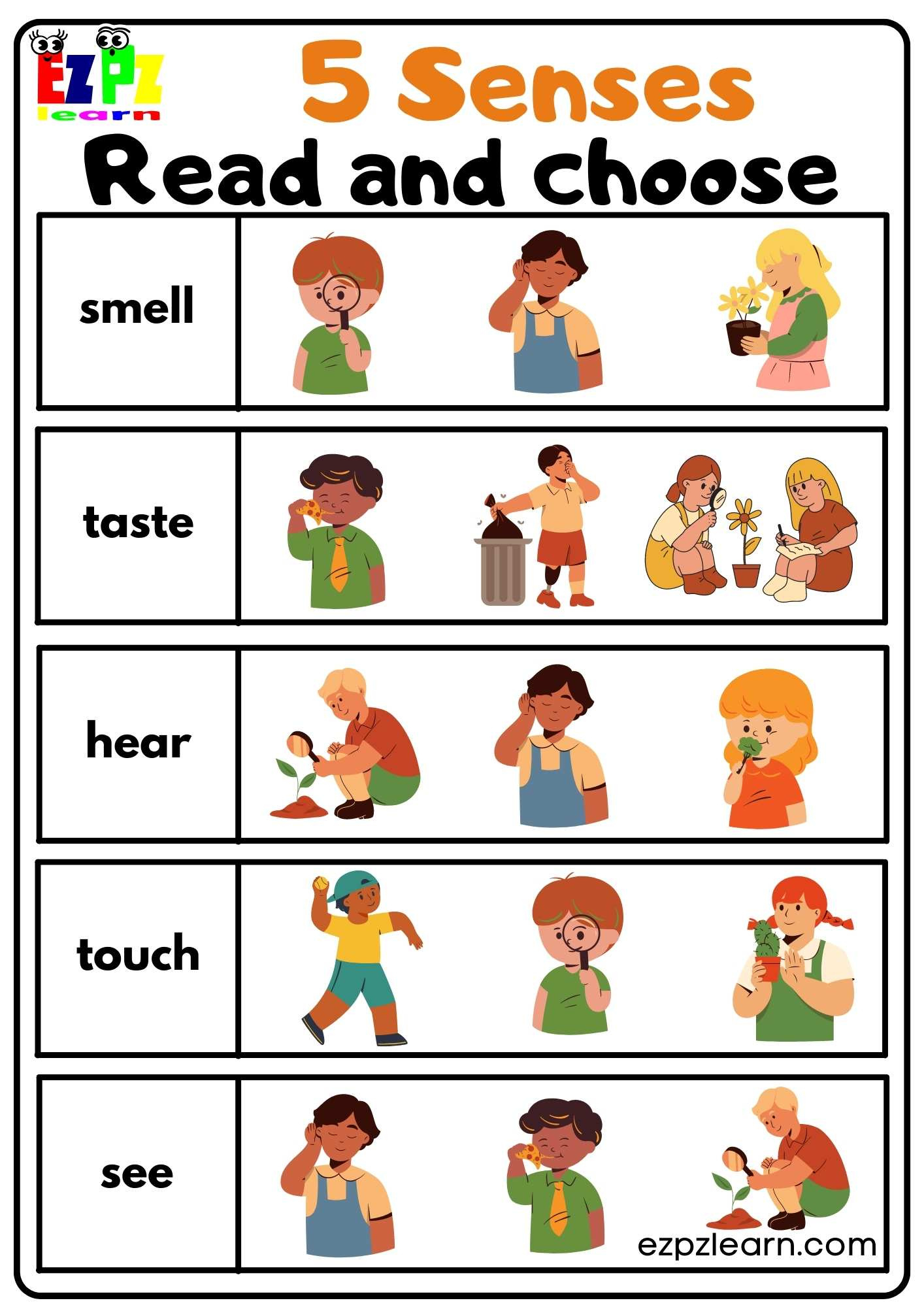 Five Senses Read And Choose Worksheet For Kindergarten And Esl regarding Free Printable Five Senses Worksheets