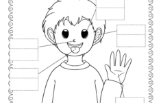 Five Senses Worksheet - Free Printable, Digital, &amp; Pdf in Preschool Free Printable Five Senses Worksheets