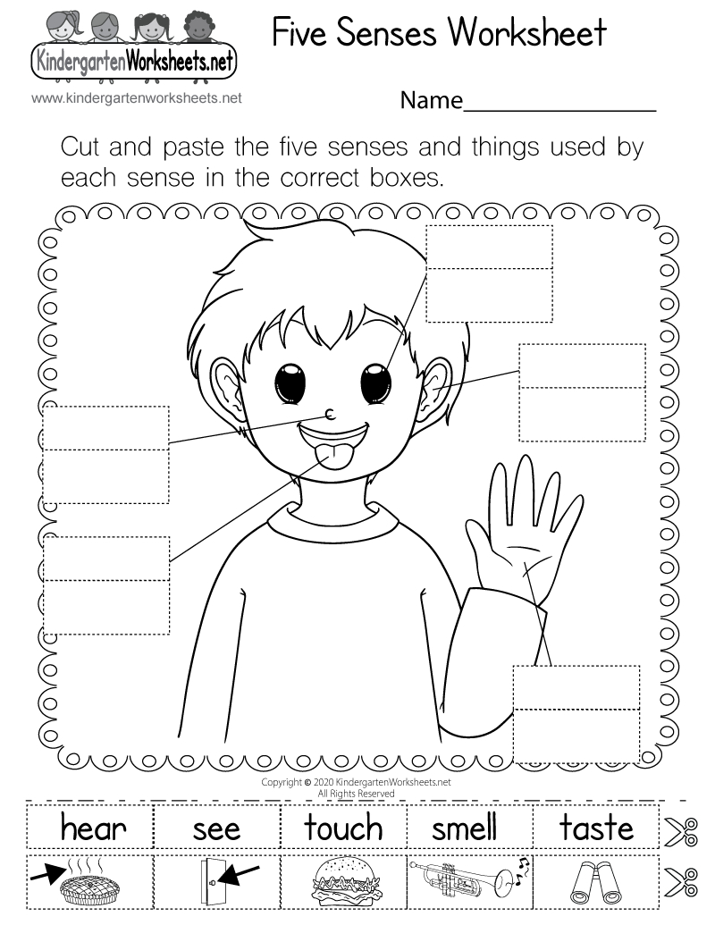 Five Senses Worksheet - Free Printable, Digital, & Pdf throughout Free Printable Science Worksheets For Kindergarten