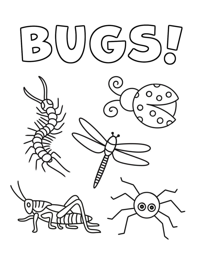 Free And Fun Bug Activities For Preschool! ⋆ The Hollydog Blog with regard to Free Printable Bug Worksheets
