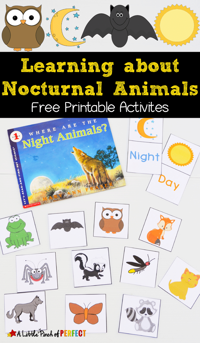 Free Nocturnal Animals Printables intended for Free Printable Nocturnal Animals Worksheets