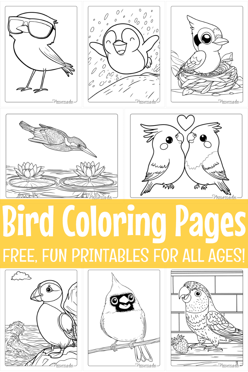 Free Printable Bird Coloring Pages For Kids &amp;amp; Adults pertaining to Free Printable Bird Worksheets For Preschoolers