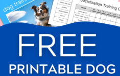 Free Printable Dog Training Plan Template To Download - Basically Dogs throughout Free Printable Dog Training Worksheets