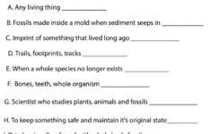 Free Printable Fossils Worksheets For Teaching &amp; Learning pertaining to Free Printable Fossil Worksheets
