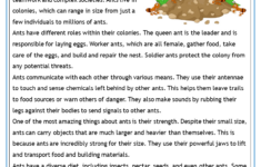 Free Printable Reading Comprehension Worksheets in Free Printable Worksheets Reading Comprehension