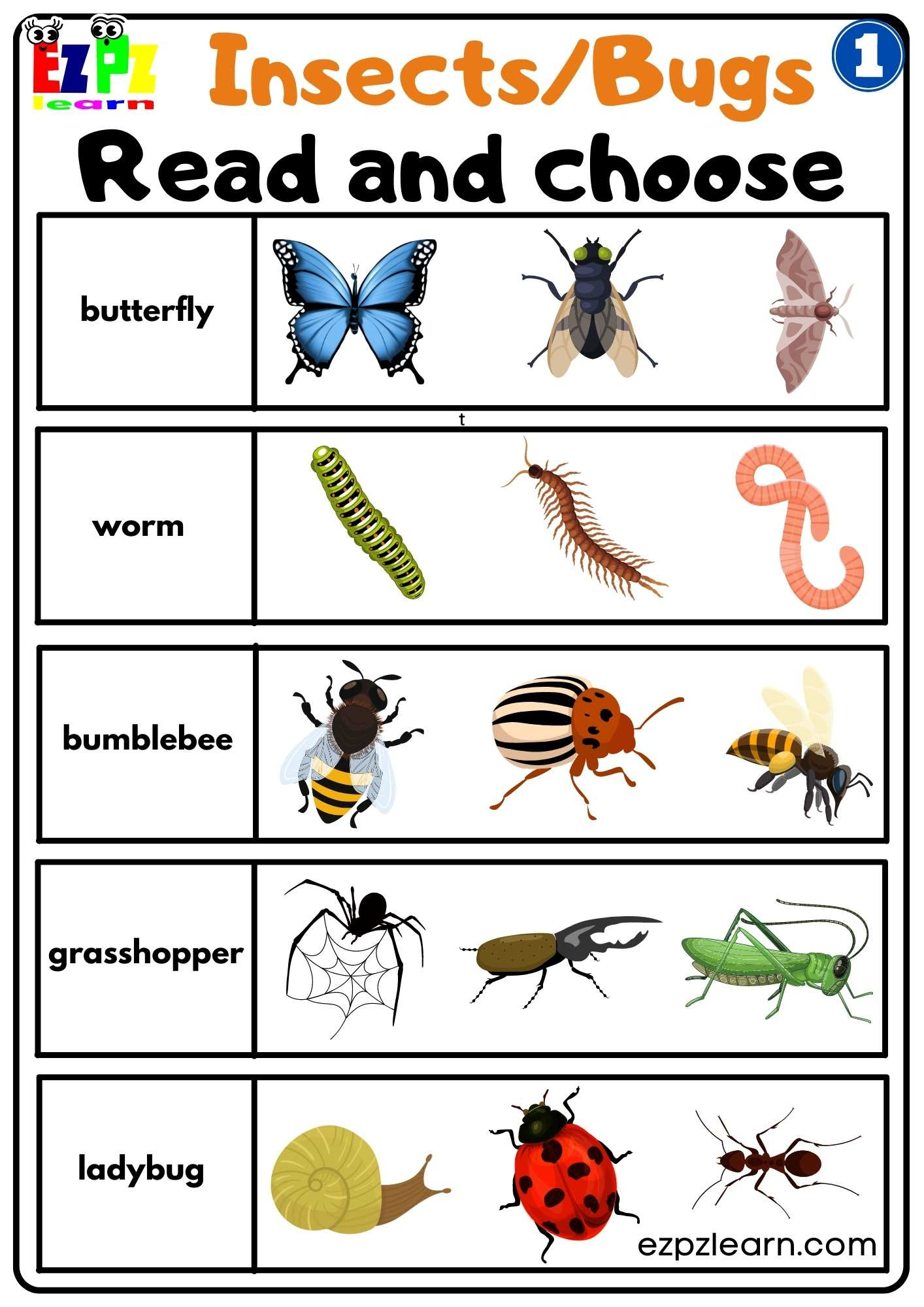 Group 1 Insects And Bugs Read And Choose Worksheet Free Pdf throughout Free Printable Worksheets On Insects