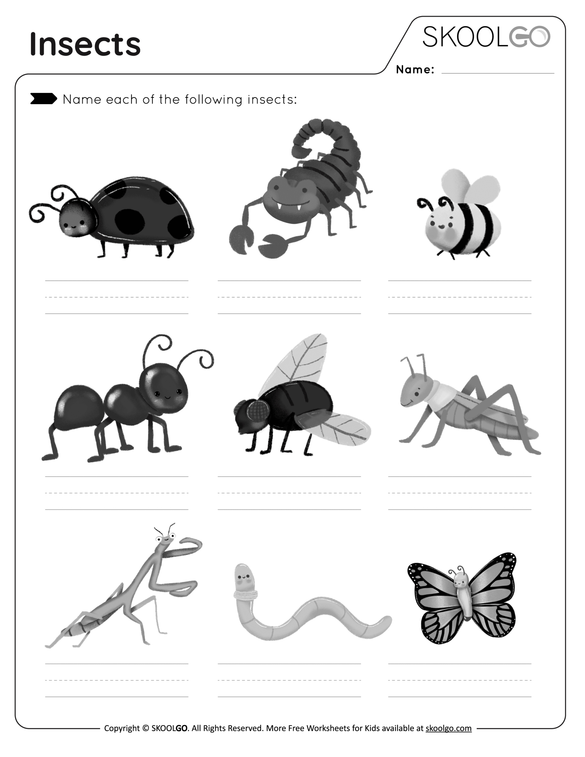 Insects - Free Worksheet - Skoolgo with Free Printable Worksheets On Insects