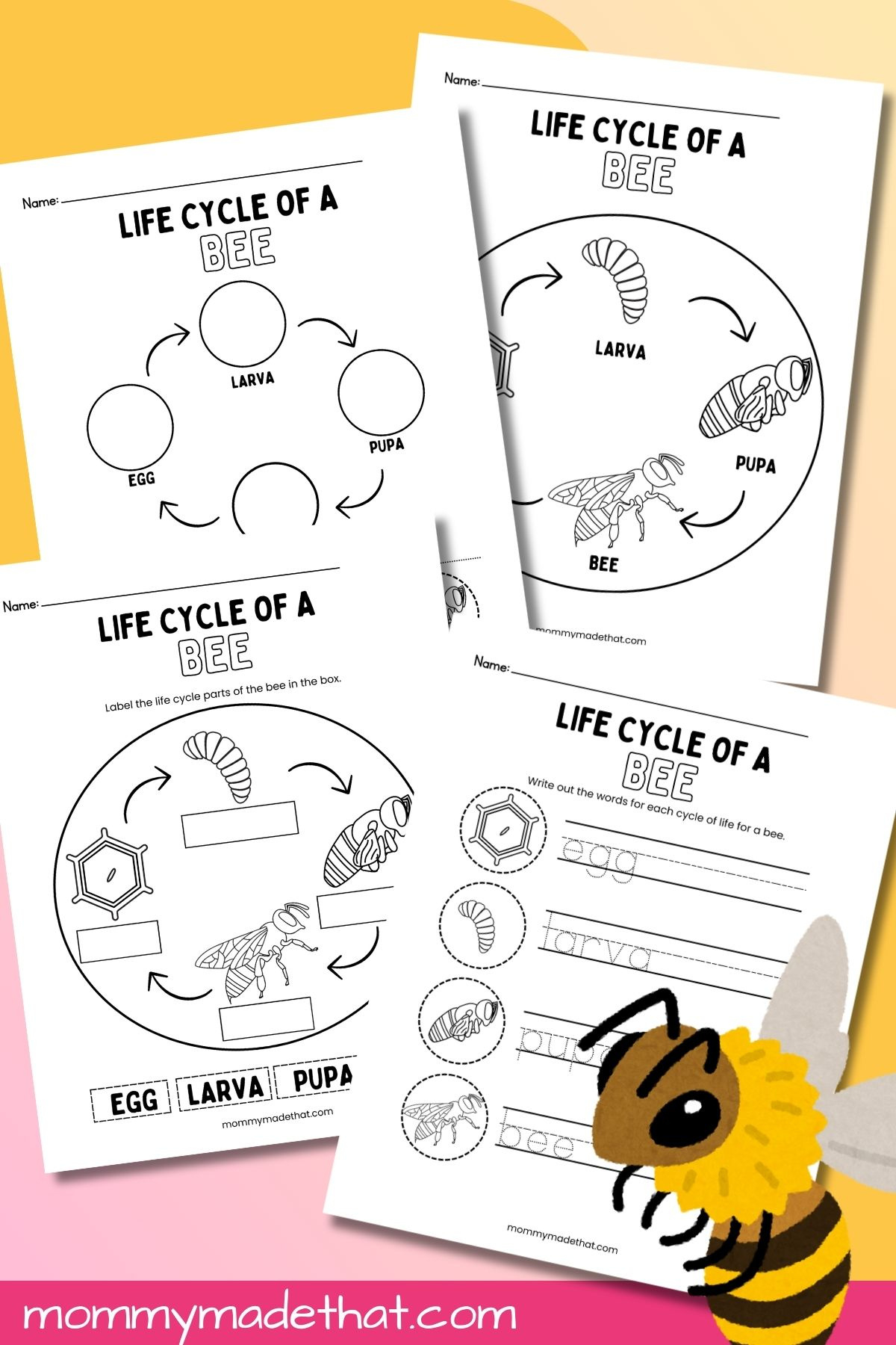 Life Cycle Of A Bee Worksheets (Free Printables) with regard to Free Printable Bee Worksheets