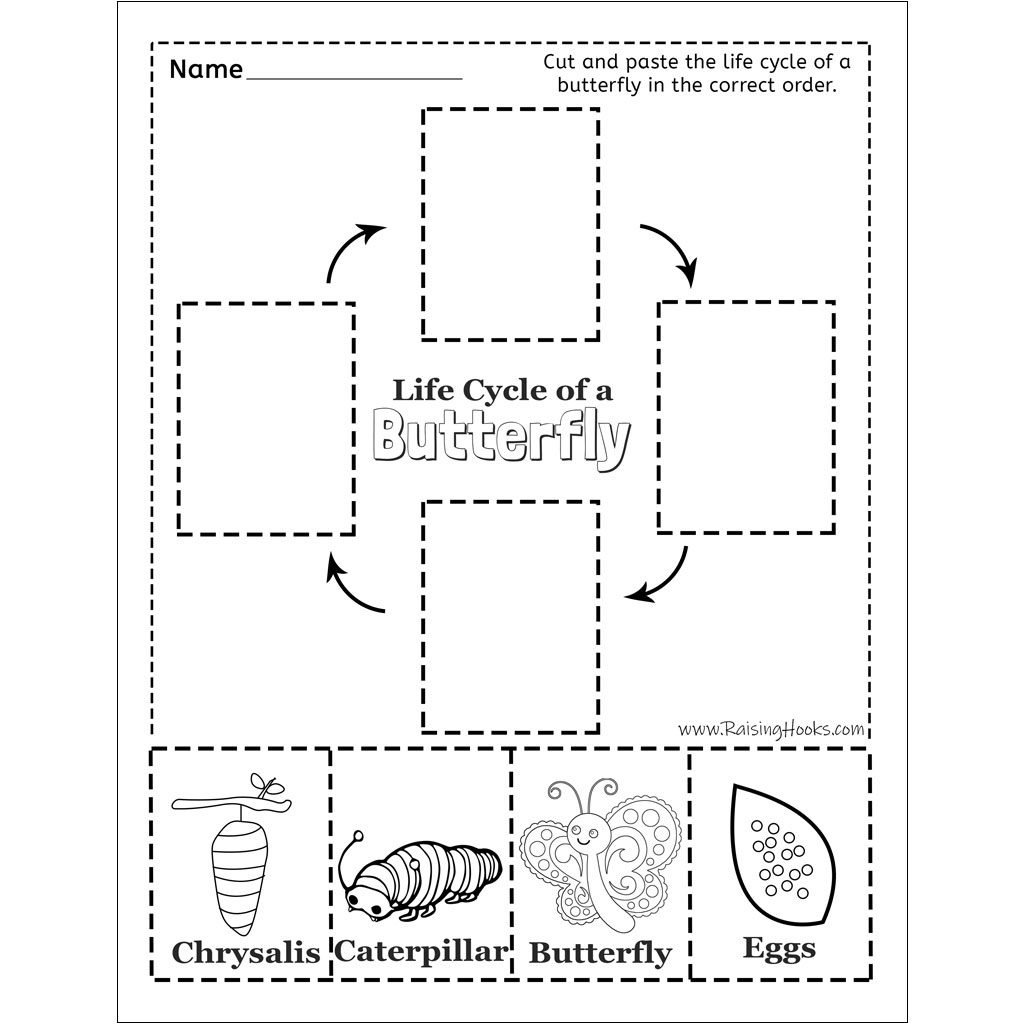 Life Cycle Of A Butterfly – Cut And Paste - Raising Hooks for Free Printable Life Cycle of A Butterfly Worksheets