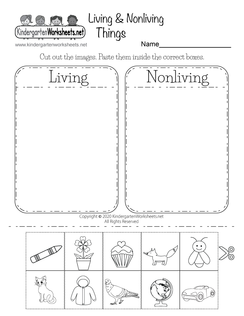 Living And Nonliving Things Worksheet - Free Printable, Digital, &amp;amp; Pdf pertaining to Science Worksheets For Kindergarten Free Printable