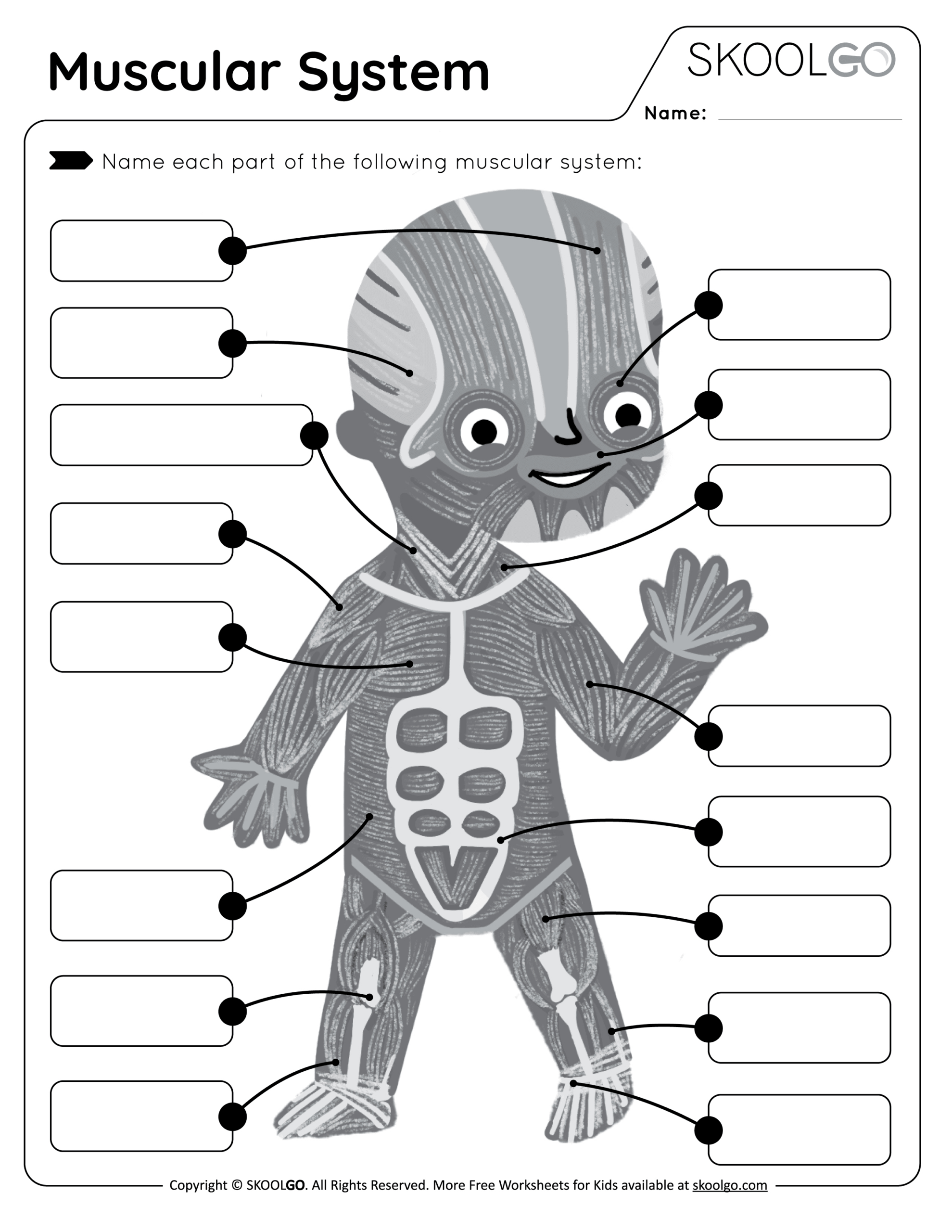 Muscular System - Free Worksheet For Kids - Skoolgo within Free Printable Muscle Worksheets