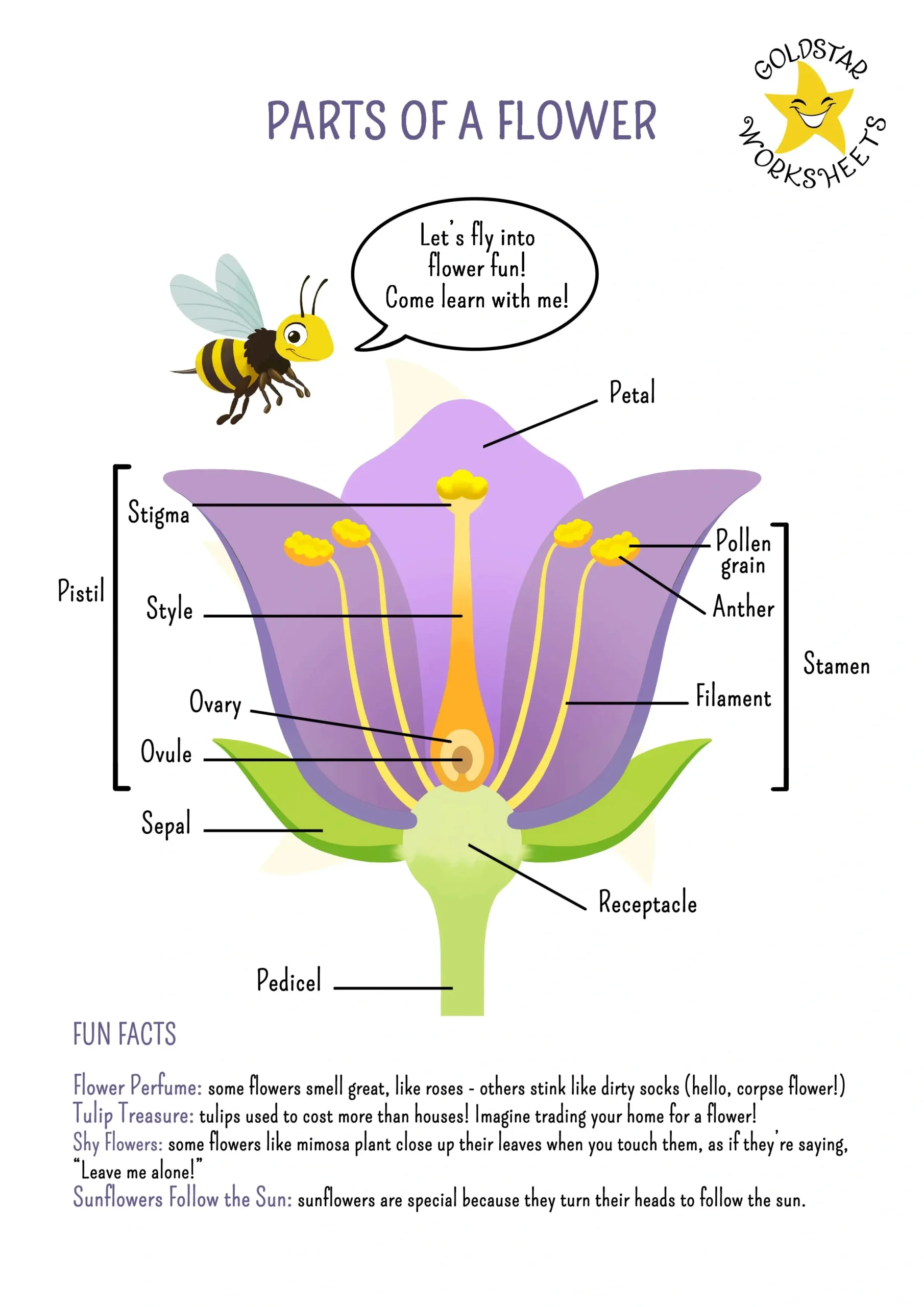 Parts Of A Flower Worksheet For Grades 2-4 – Fun And Educational! for Free Printable Parts Of A Flower Worksheets
